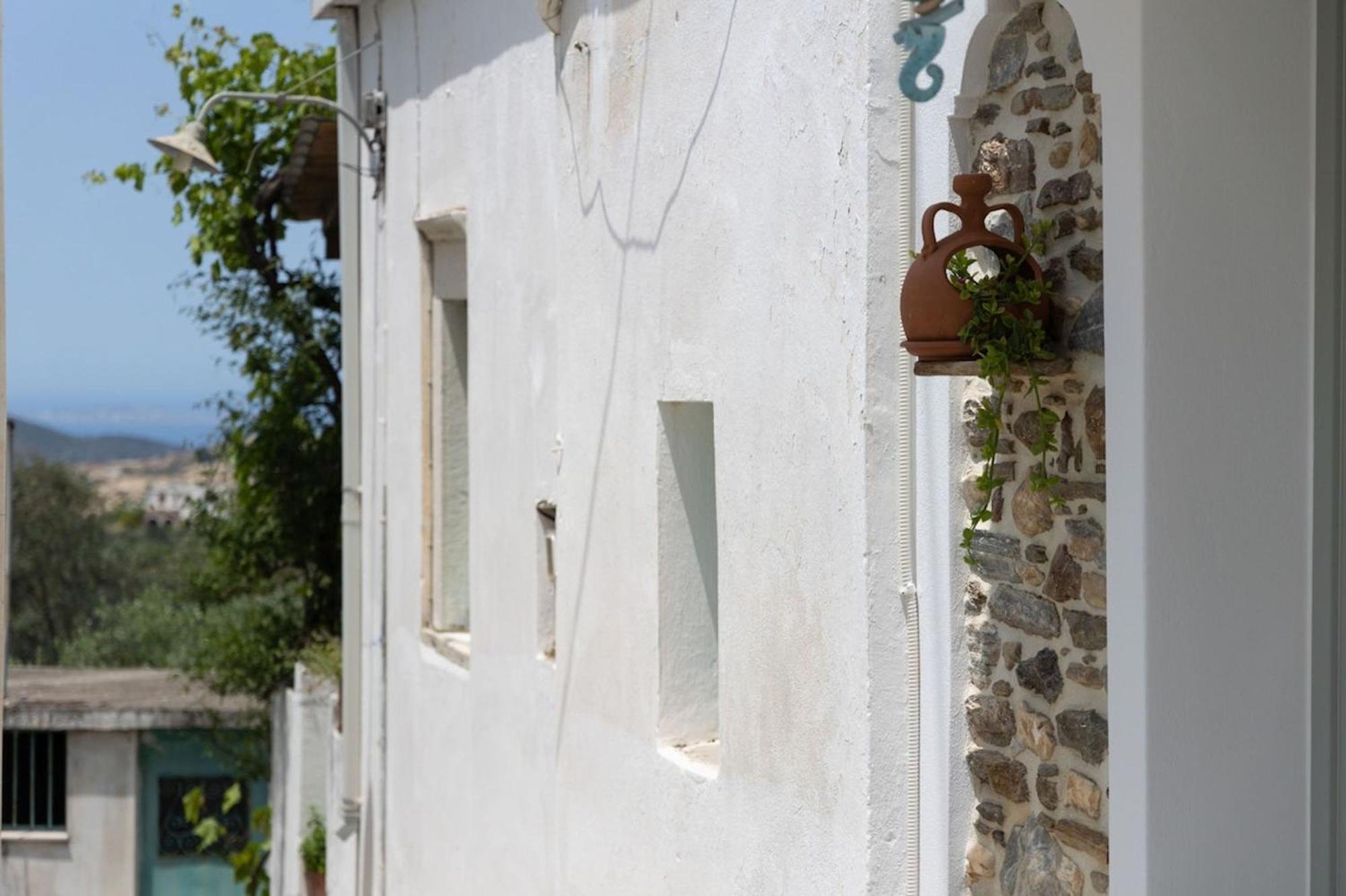 My Grandma'S Home Naxos Dhamarionas エクステリア 写真